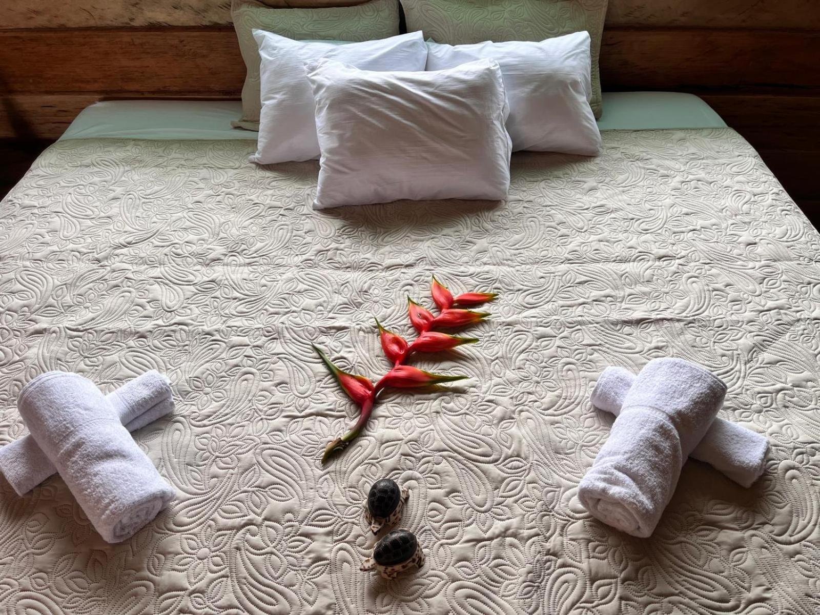 Purachata Ecolodge Iquitos Exteriör bild