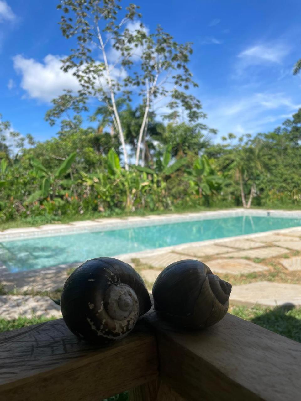 Purachata Ecolodge Iquitos Exteriör bild