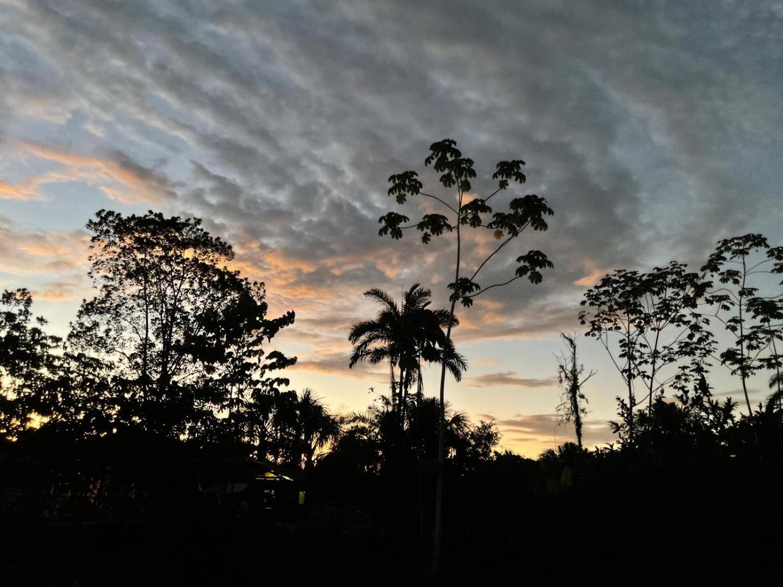 Purachata Ecolodge Iquitos Exteriör bild