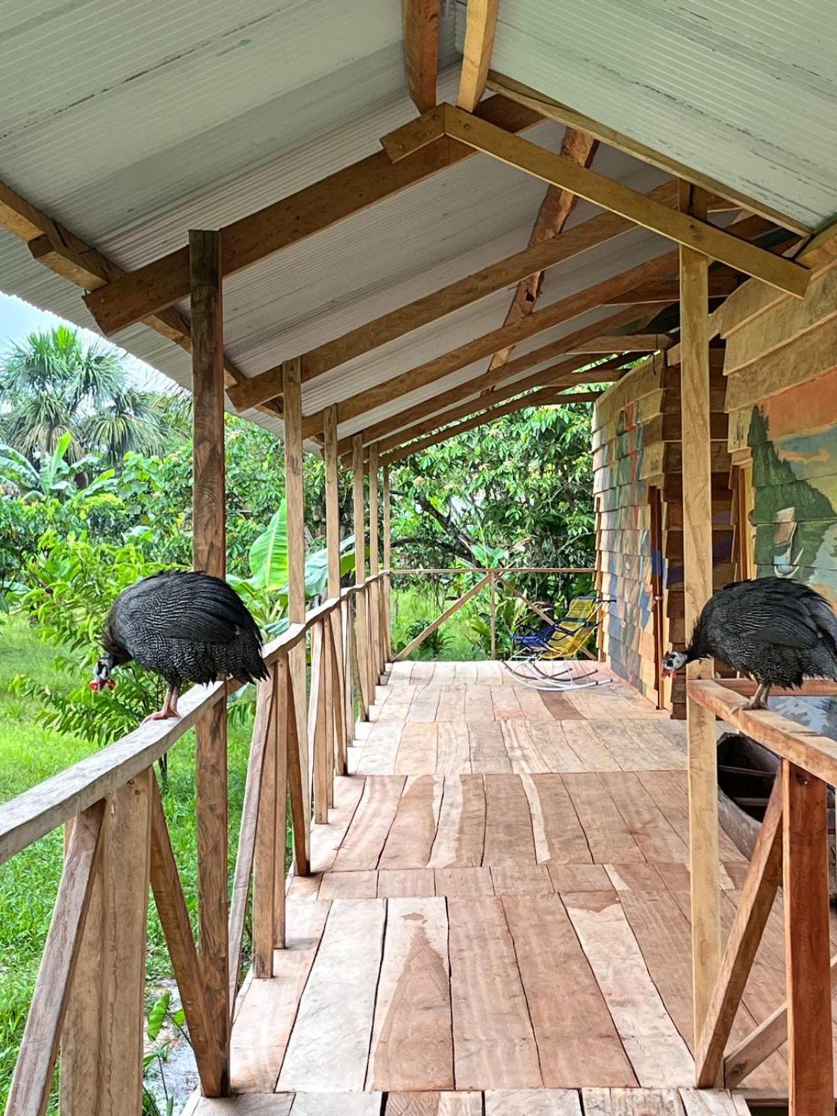 Purachata Ecolodge Iquitos Exteriör bild