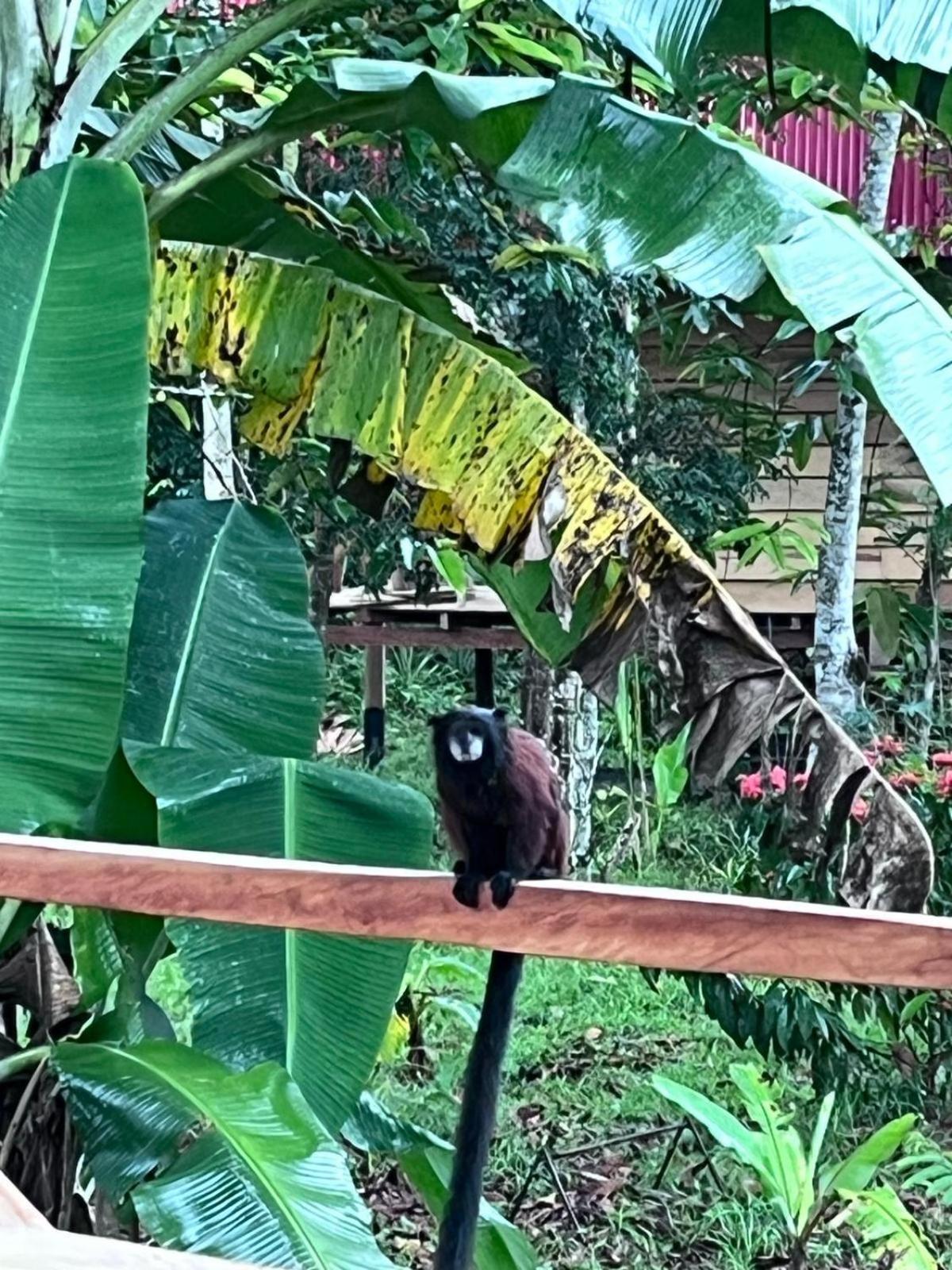Purachata Ecolodge Iquitos Exteriör bild