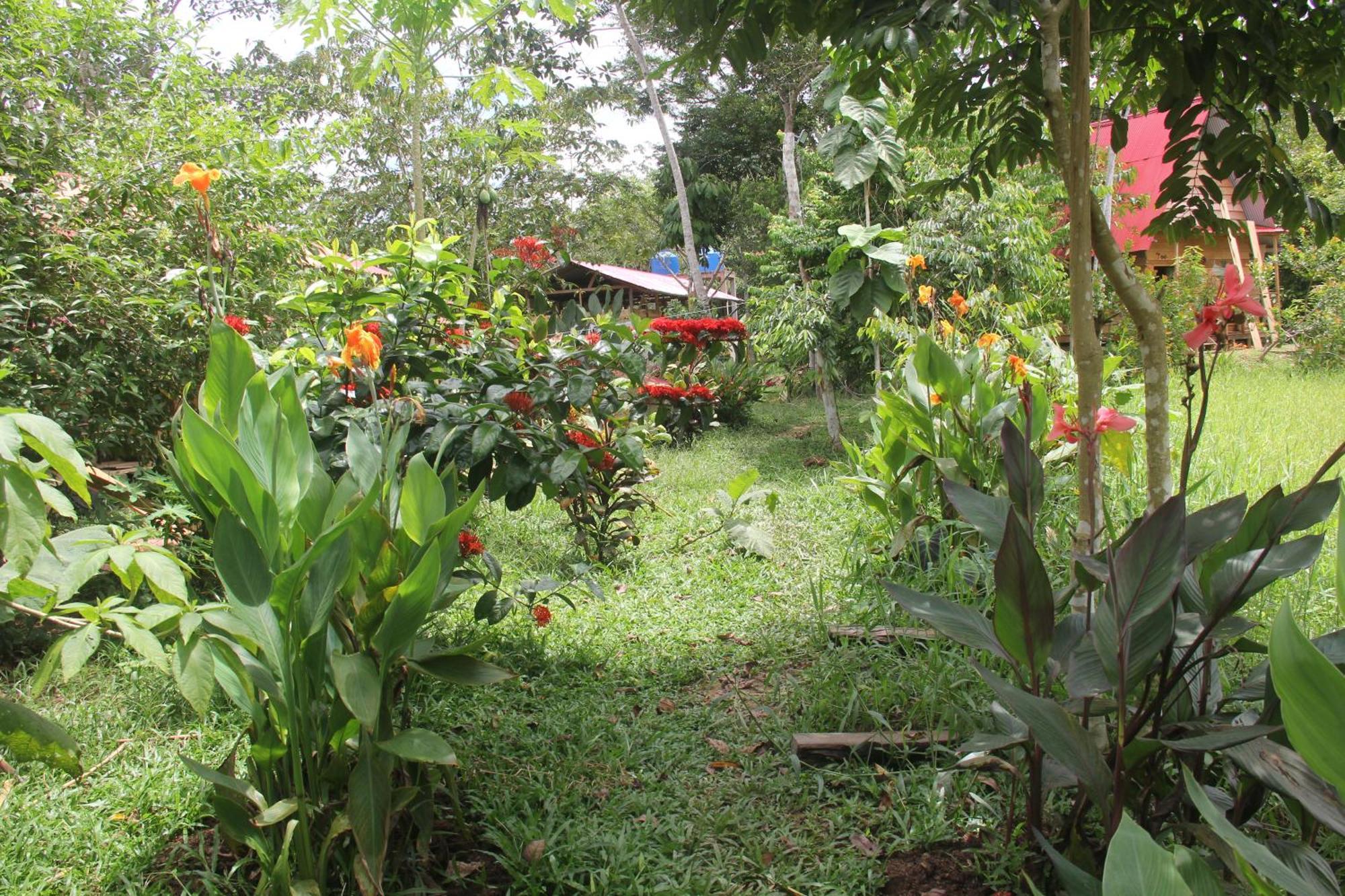 Purachata Ecolodge Iquitos Exteriör bild